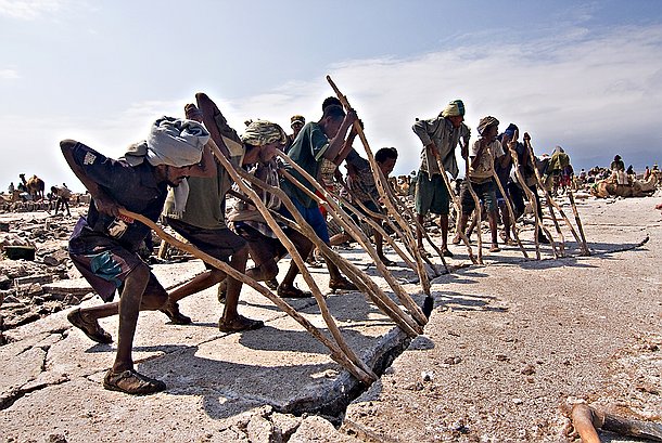 L'exploitation du sel Des pieux grossièrement taillés servent de levier pour décoller et déplacer des plaques de sel de 10 centimètres d'épaisseur.
