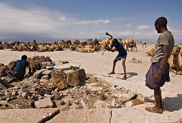 L'exploitation du sel Dans ce monde caniculaire impitoyable ils travaillent de façon artisanale dans des conditions extrèmes avec des méthodes et des outils d'une simplicité biblique...
